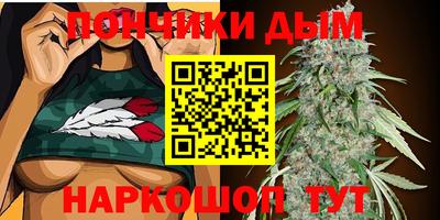 стаф Кунгур